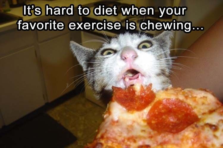 http://www.lovethispic.com/image/298801/it%27s-hard-to-diet-when-your-favorite-exercise-is-chewing