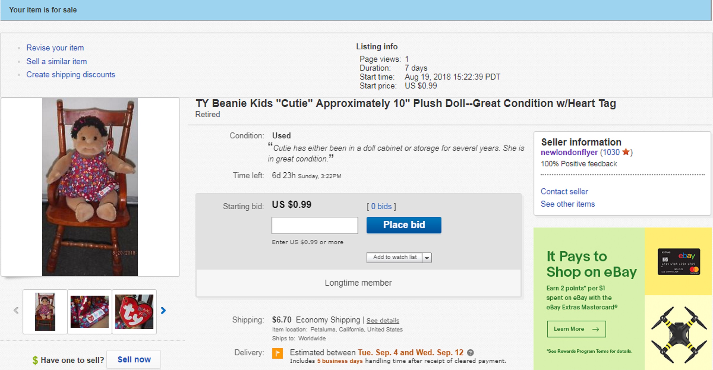 Screencap of the auction that I put up Screencap of the auction that I put up