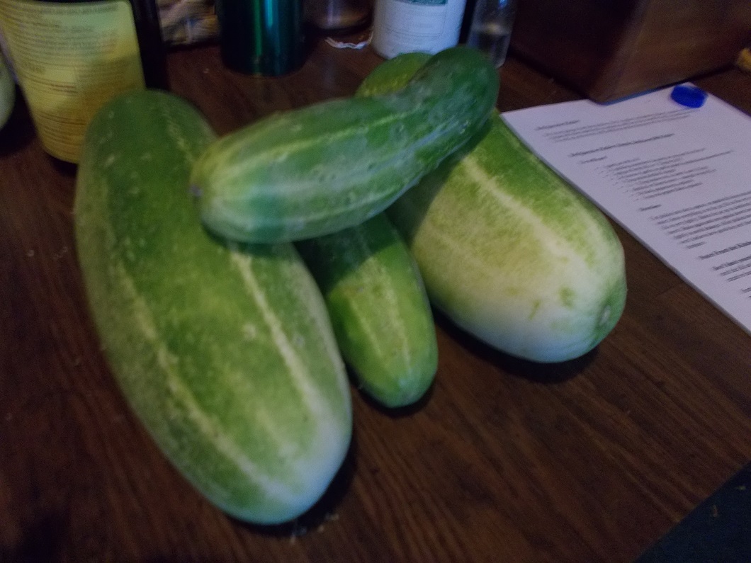 cucumbers harvested 9/5/2018