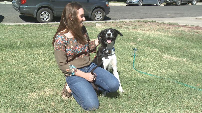 Becky the dog and Miranda form a new bond in Colorado Becky the dog and Miranda form a new bond in Colorado