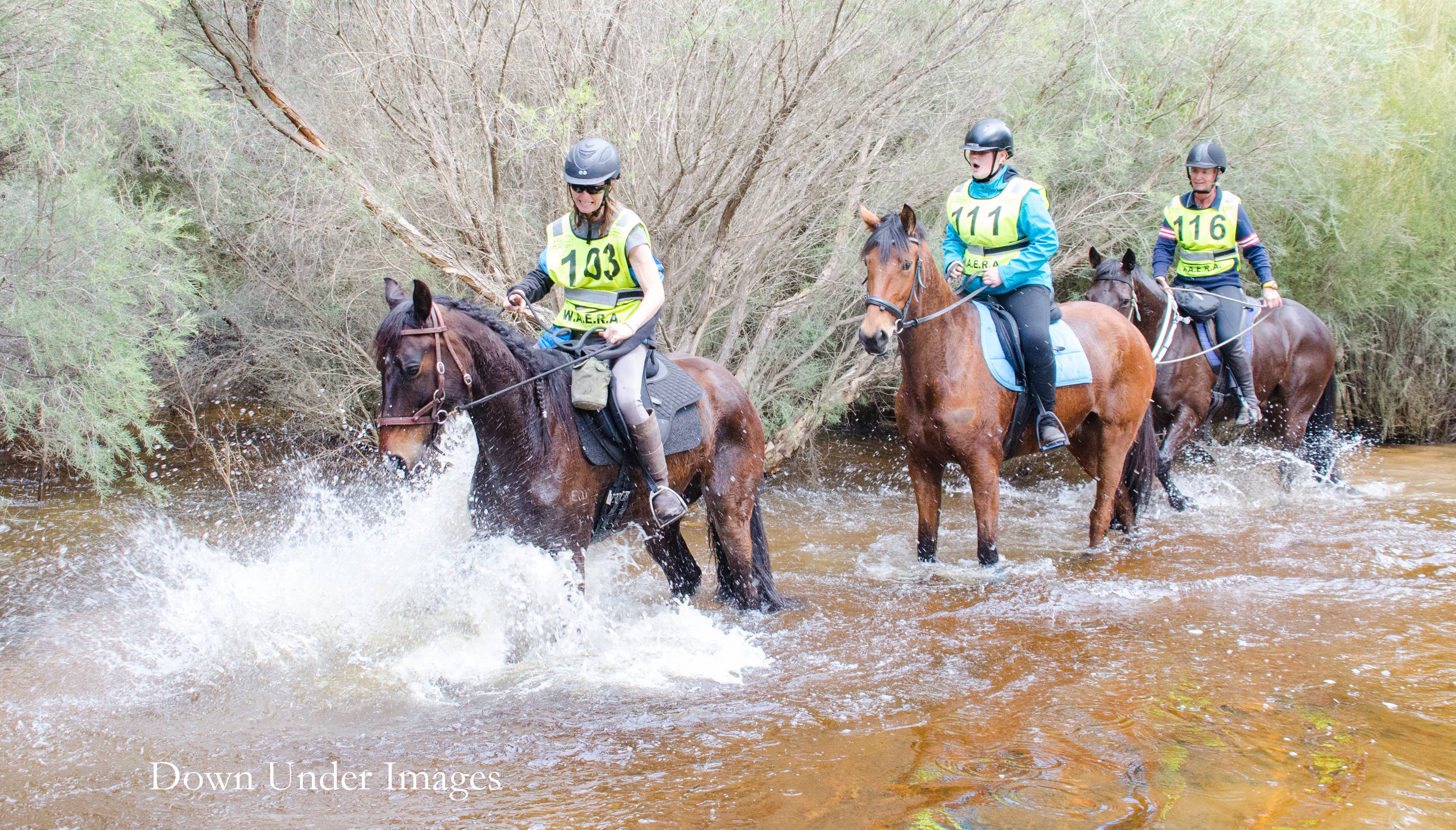 Endurance Riding State Championships, Collie, Western Australia, 2018