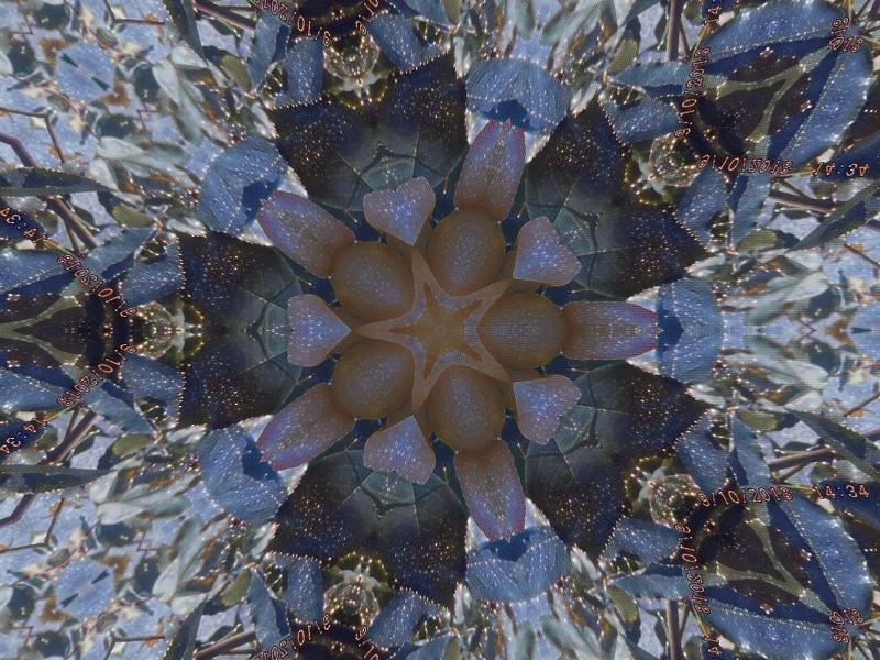 Photo I took with numerous effects on LunaPic.com Photo I took with numerous effects on LunaPic.com