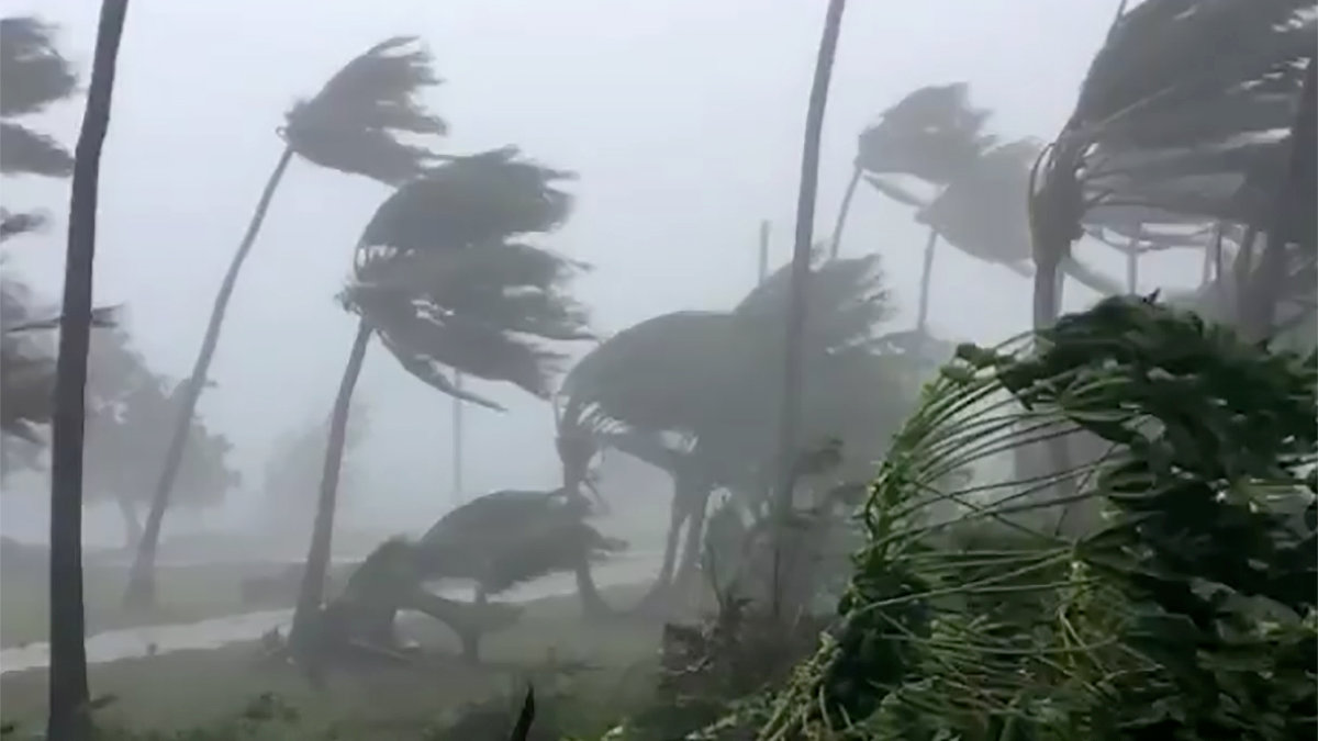 typhoon, wind, hurricane, disaster, damage