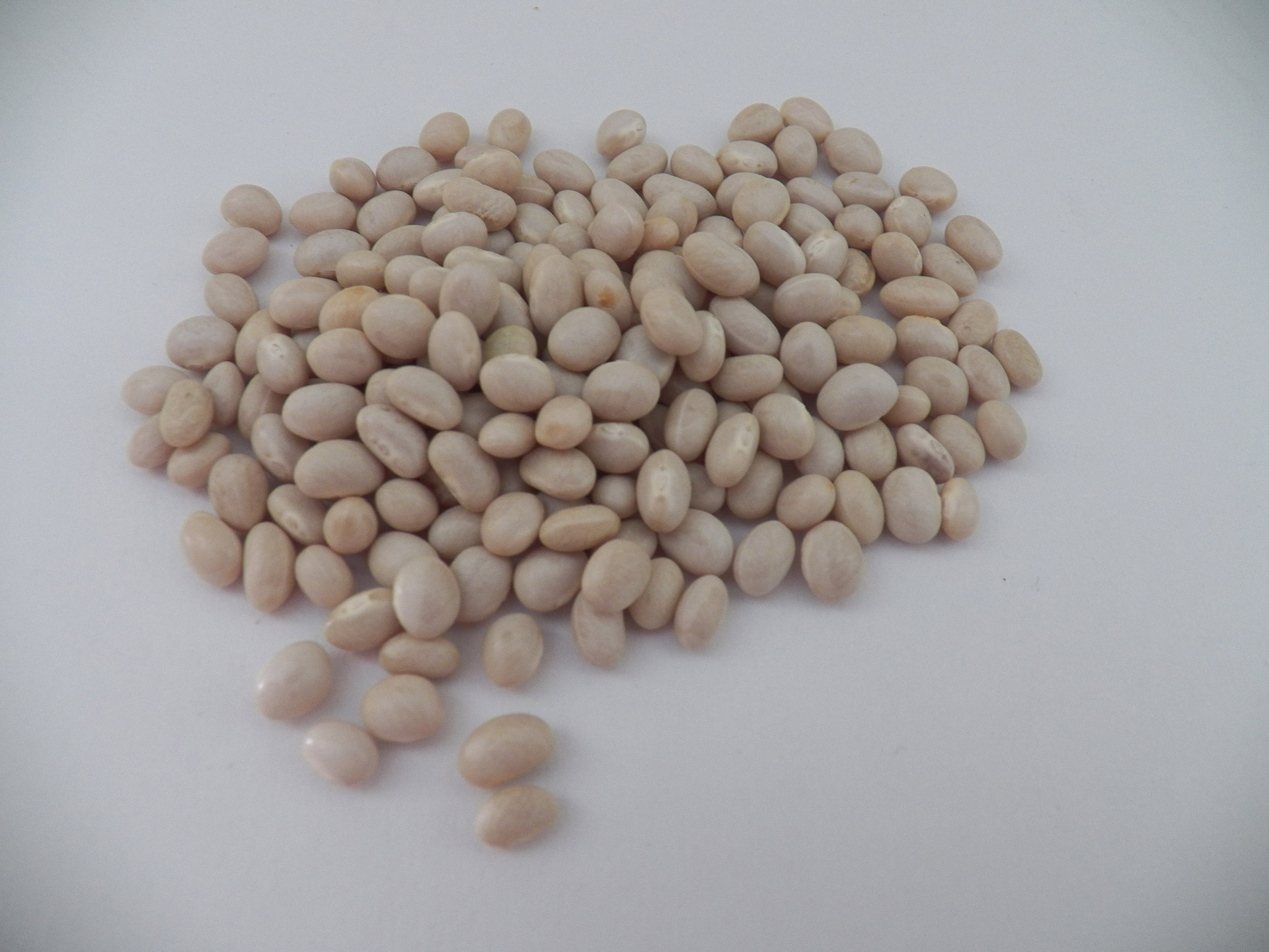 https://www.publicdomainpictures.net/en/view-image.php?image=24834&picture=navy-beans https://www.publicdomainpictures.net/en/view-image.php?image=24834&picture=navy-beans