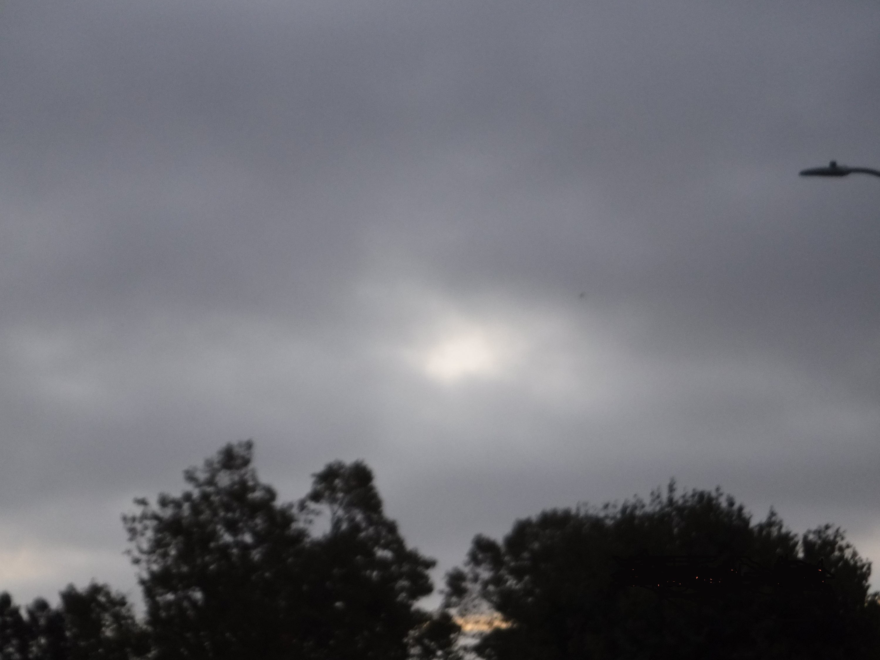 Photo taken by me 9-17-18 Photo taken by me 9-17-18