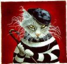 my cat - he was grumpy this day....