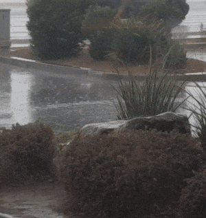 Hurricane Rosa Hurricane Rosa