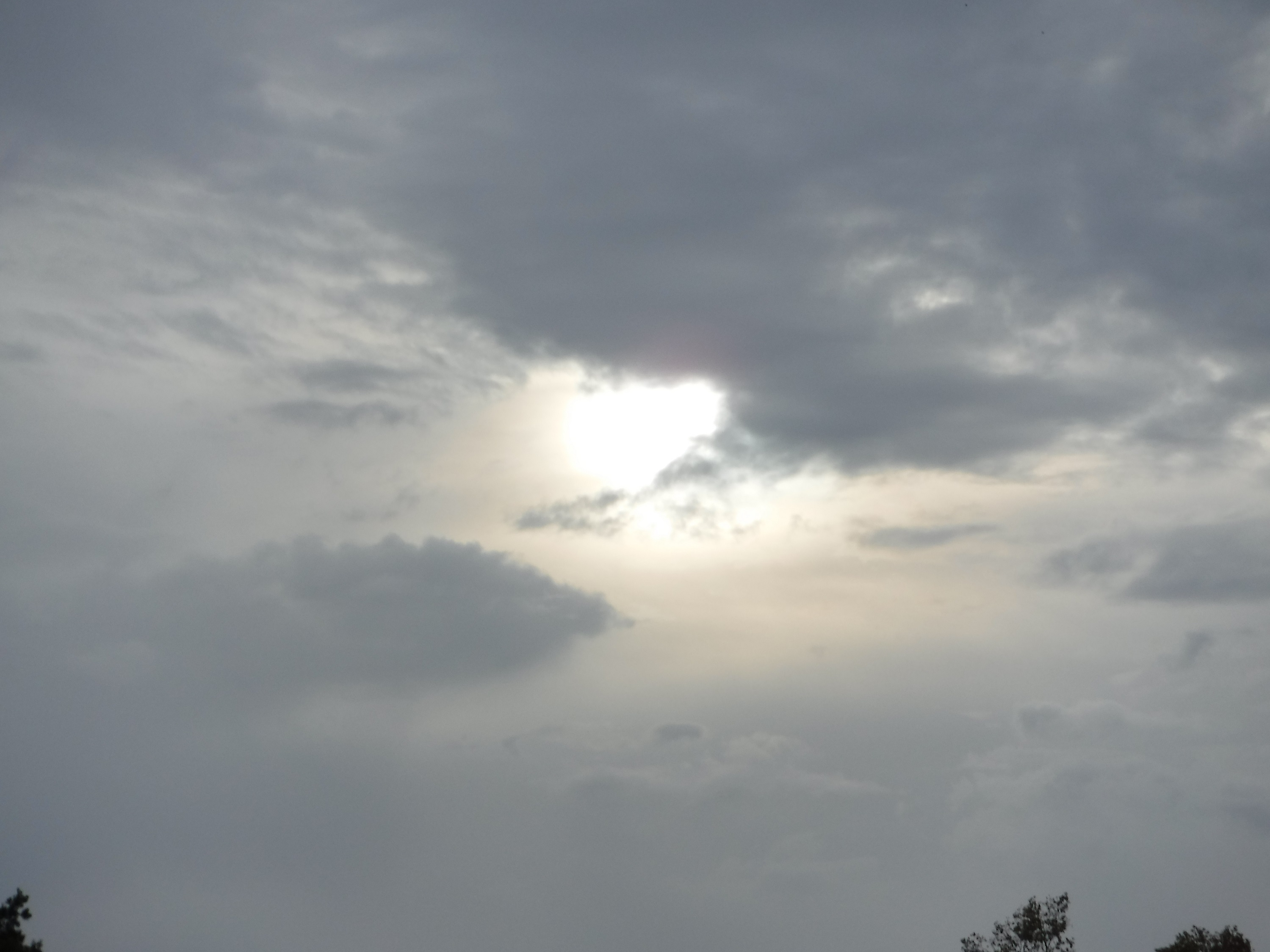 Photo taken by me 10-1-18 Photo taken by me 10-1-18