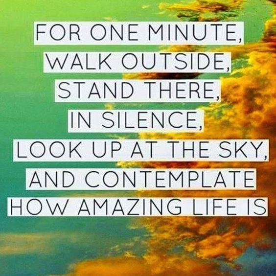 http://www.lovethispic.com/image/339323/contemplate-how-amazing-life-is