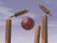 cricket - cricket