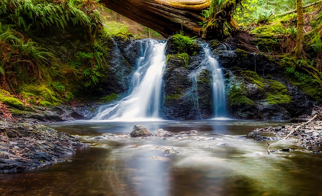 https://cdn.pixabay.com/photo/2016/12/15/12/41/landscape-1908788_960_720.jpg https://cdn.pixabay.com/photo/2016/12/15/12/41/landscape-1908788_960_720.jpg