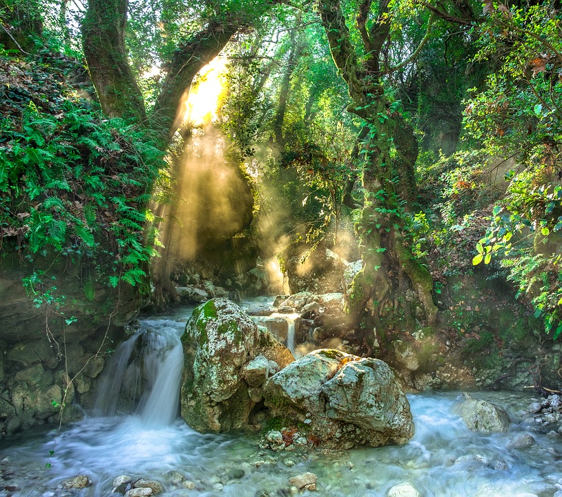 https://pixabay.com/en/torrent-jungle-trees-stream-forest-3119822/