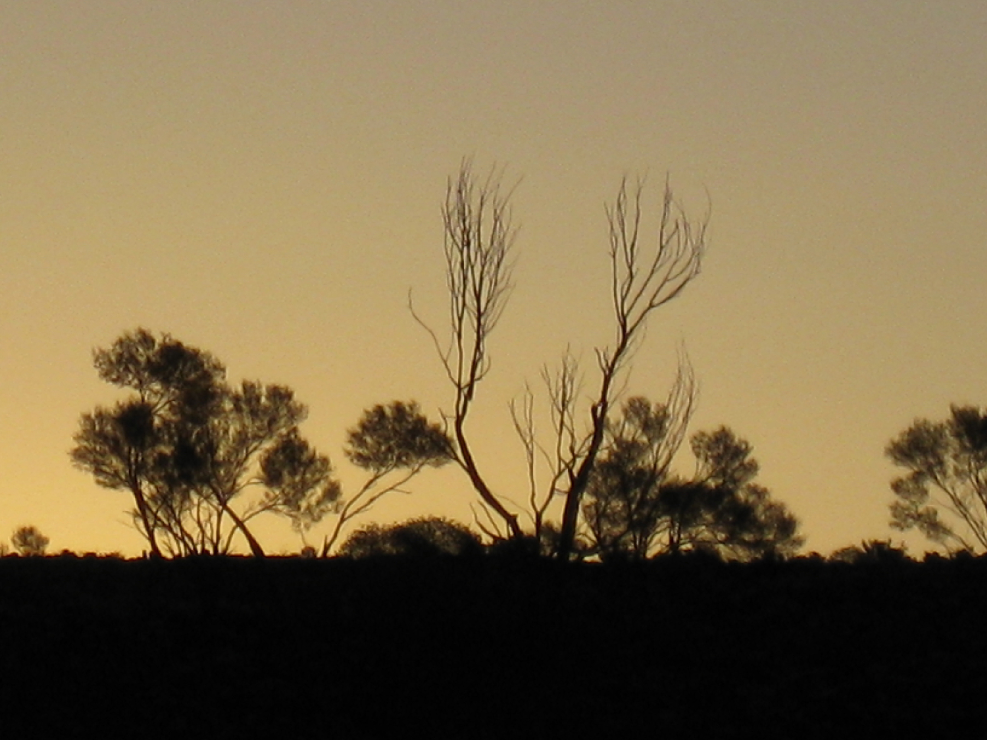 Menzies, Western Australia