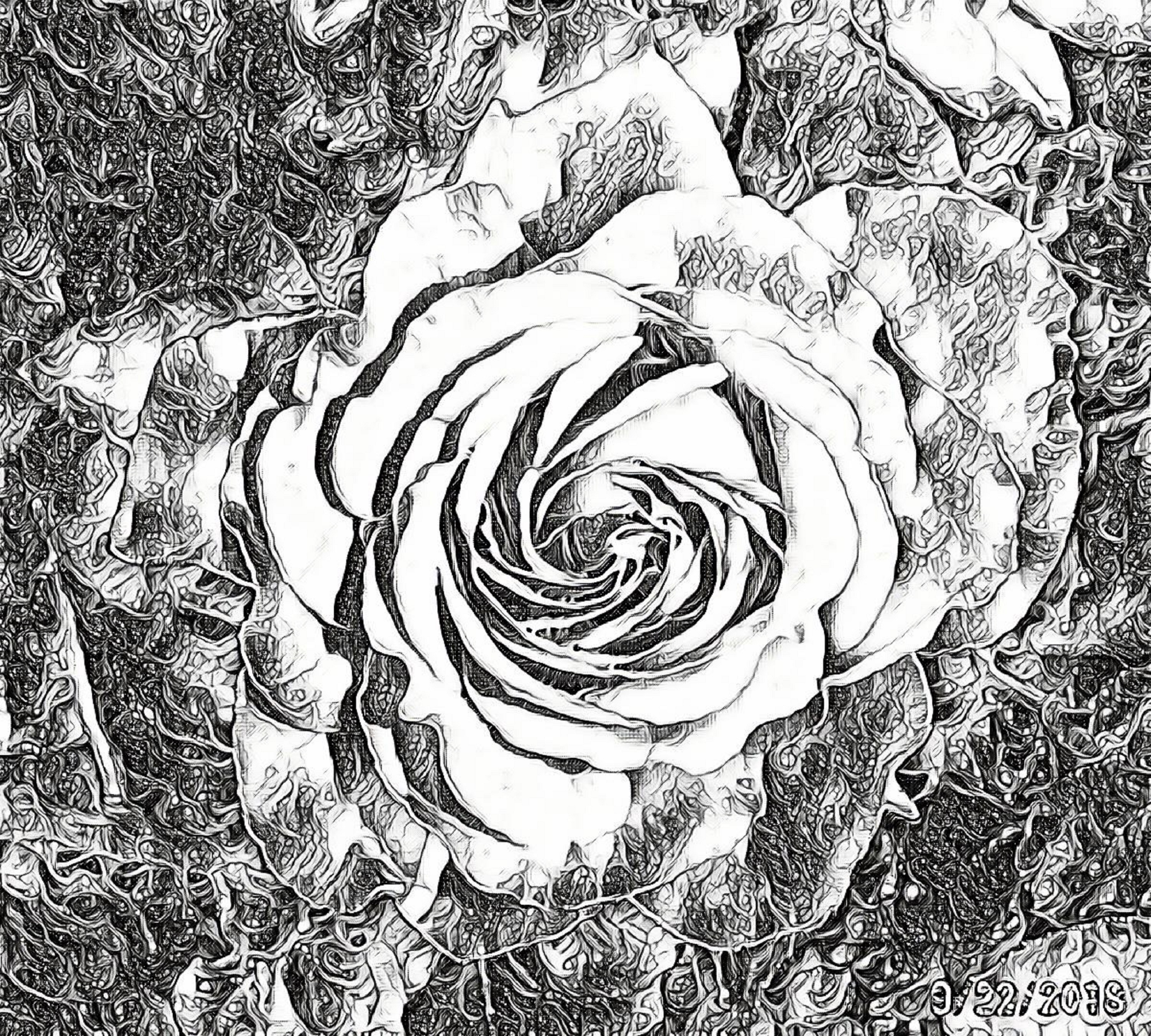 Photo taken by me with Space and Pen Effects on LunaPic.com Photo taken by me with Space and Pen Effects on LunaPic.com