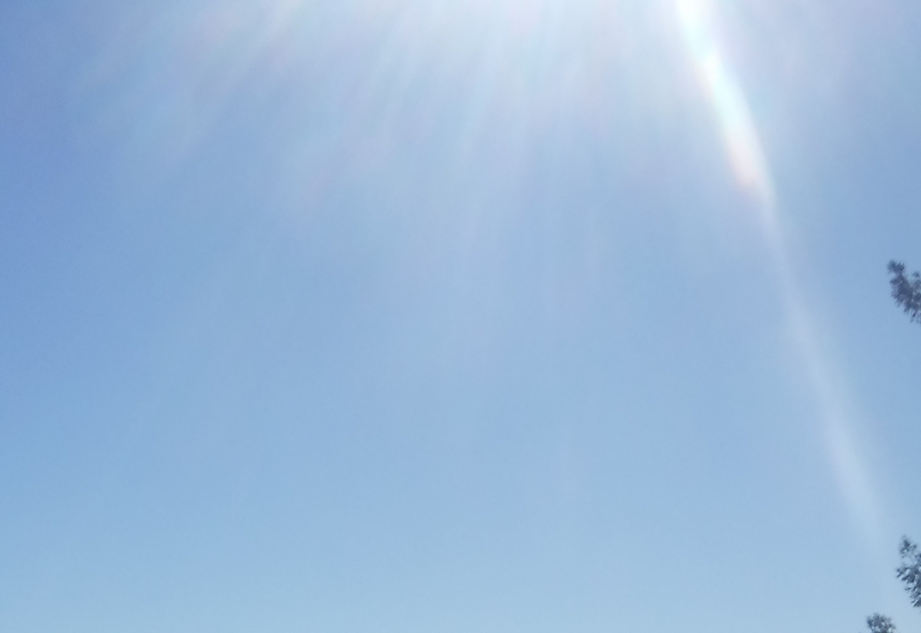 Photo taken by me and cropped on Microsoft Paint Photo taken by me and cropped on Microsoft Paint