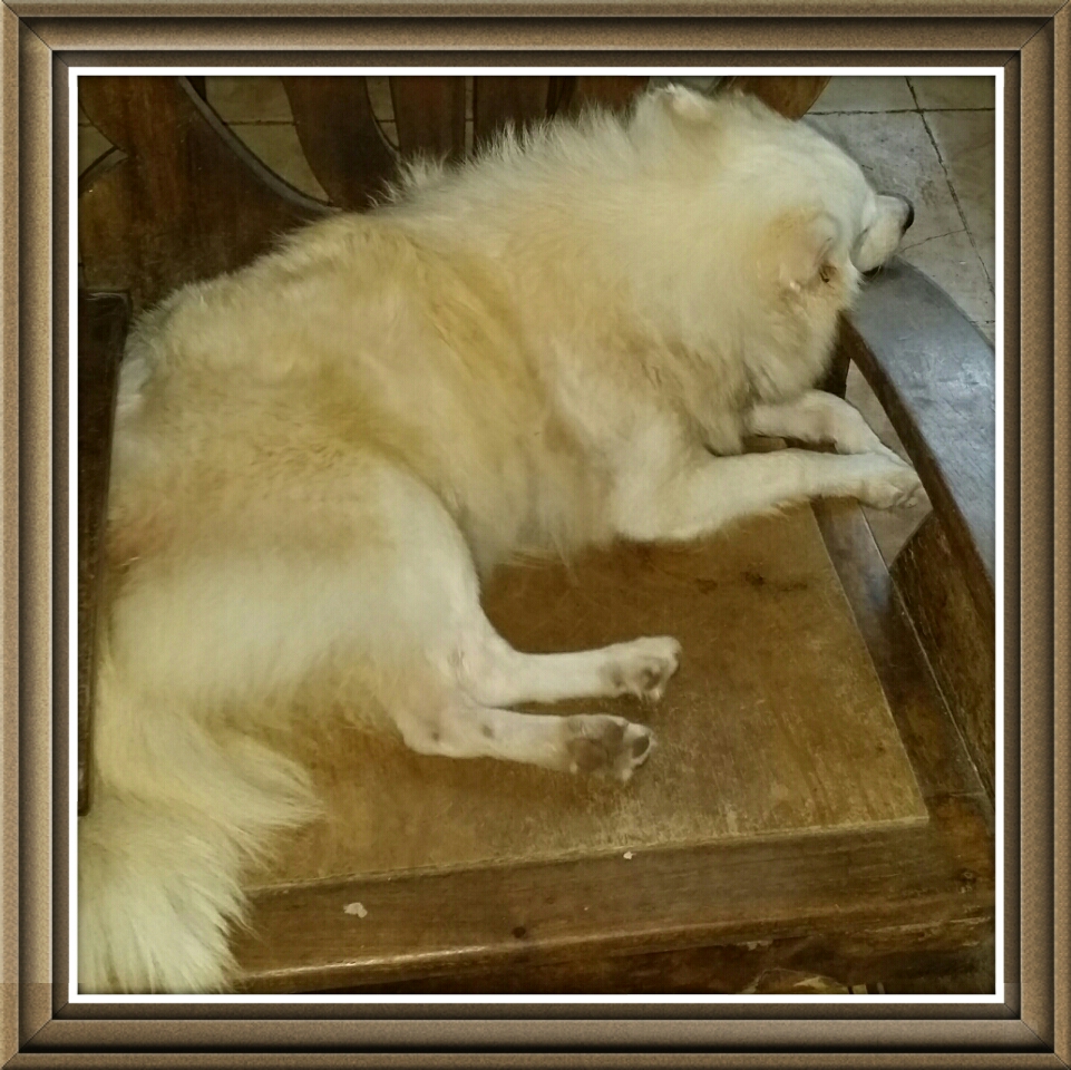 Macy. Lazy Macy Macy. Lazy Macy