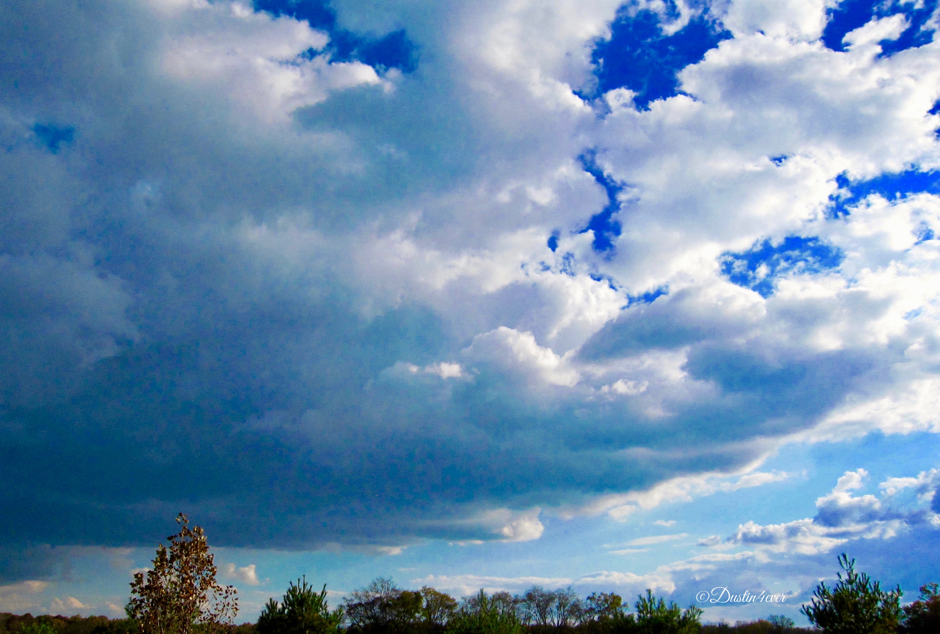 Blue Clouds and Sunshine