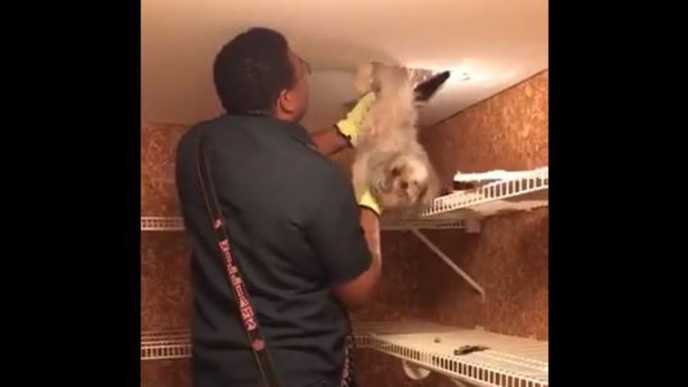 Firefighter Williams resuces a dog that was stuck in a heating duct