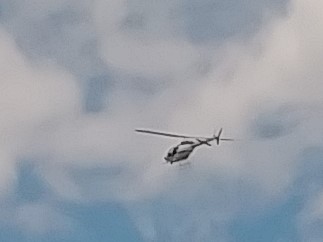 I took the picture. A helicopter was circling overhead. I took the picture. A helicopter was circling overhead.