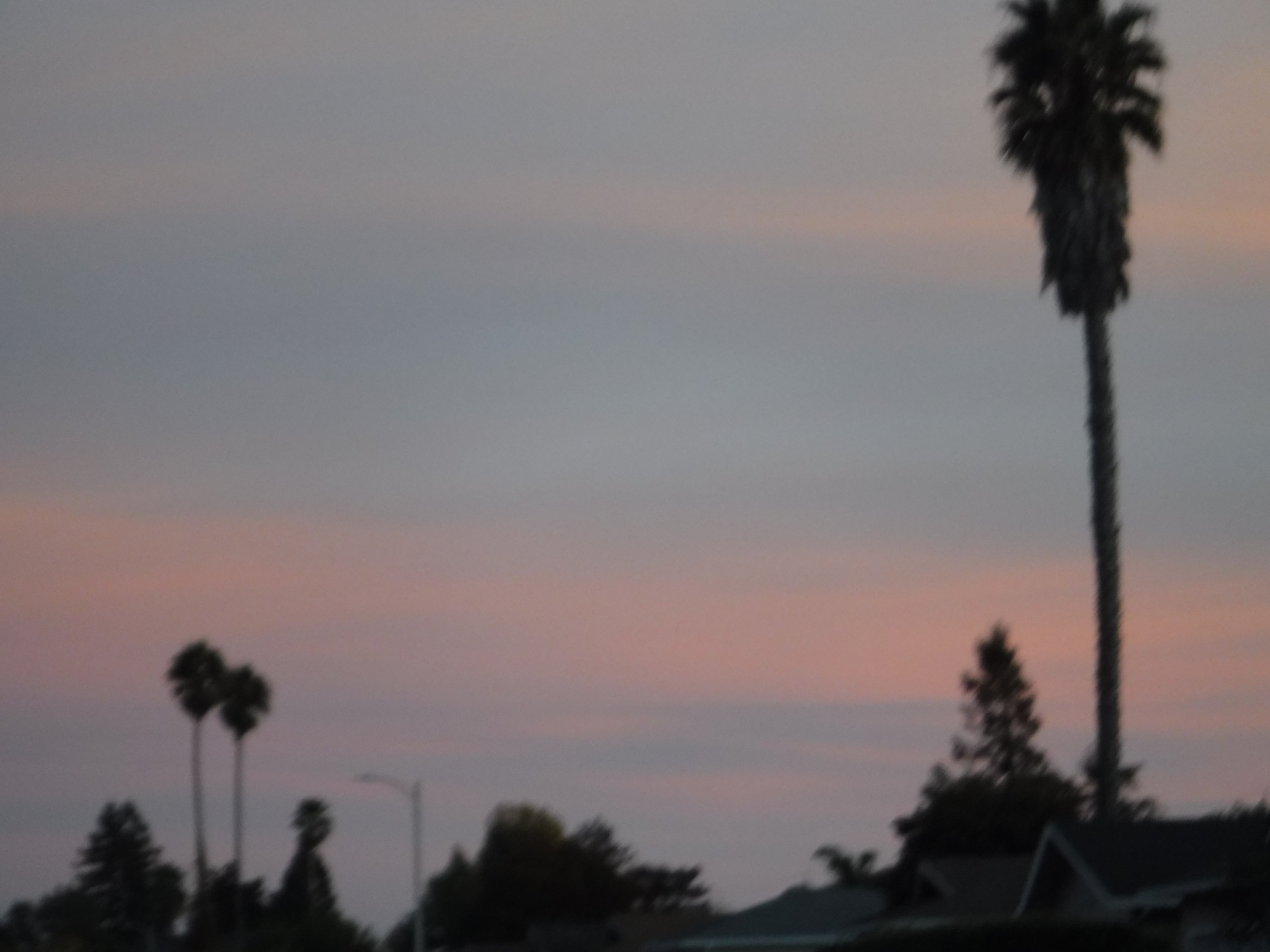 Photo taken by me 10-31-18 Photo taken by me 10-31-18
