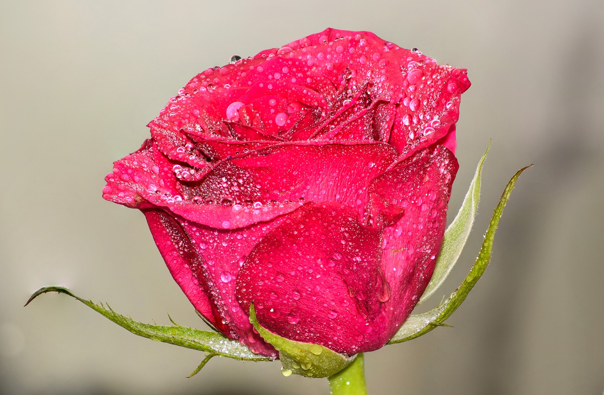 Image by cristi21tvg via Pixabay Image by cristi21tvg via Pixabay