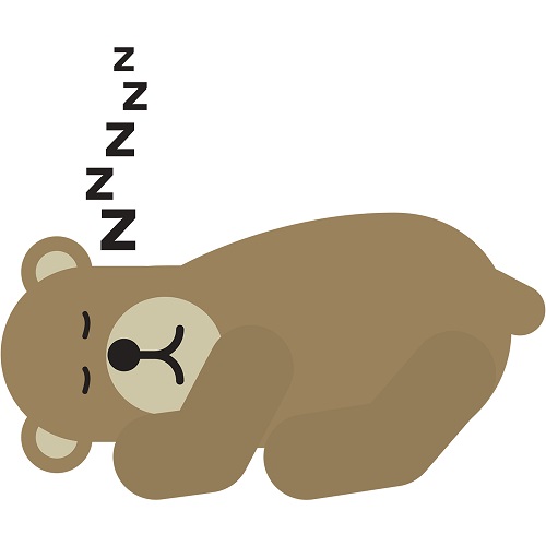 hibernating bear hibernating bear
