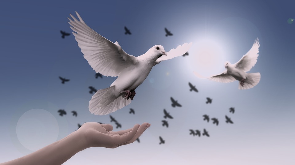 The soul connection