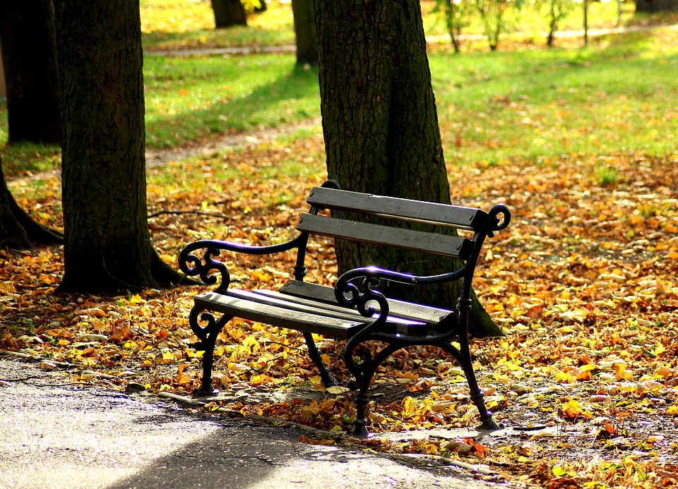 Life is a seat that any soul can sit down on for a while, or is it more than that too?