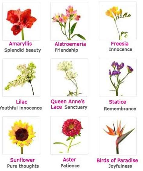 https://www.funzug.com/index.php/nature/flowers-and-their-meanings.html