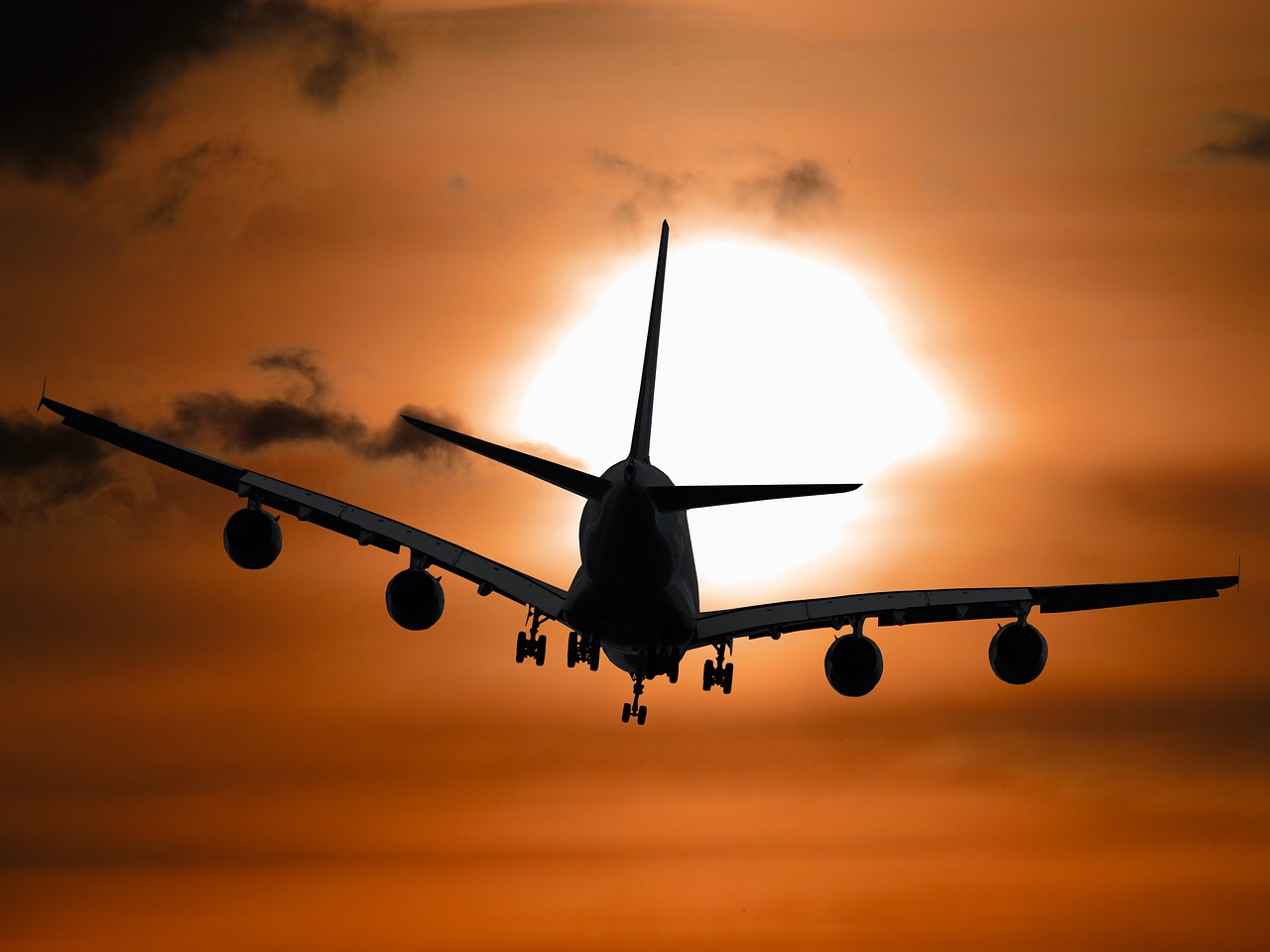 Image credited to Pixabay Image credited to Pixabay
