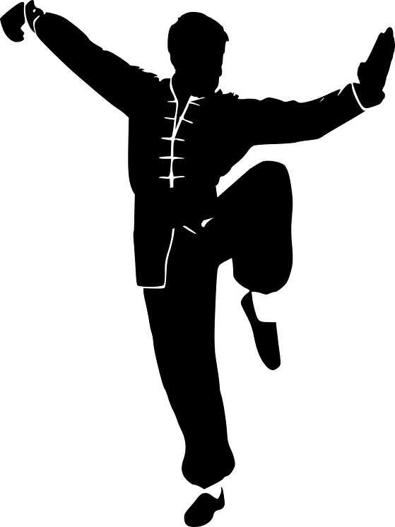 kung fu kung fu