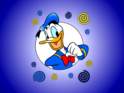 donald duck - do you like me?