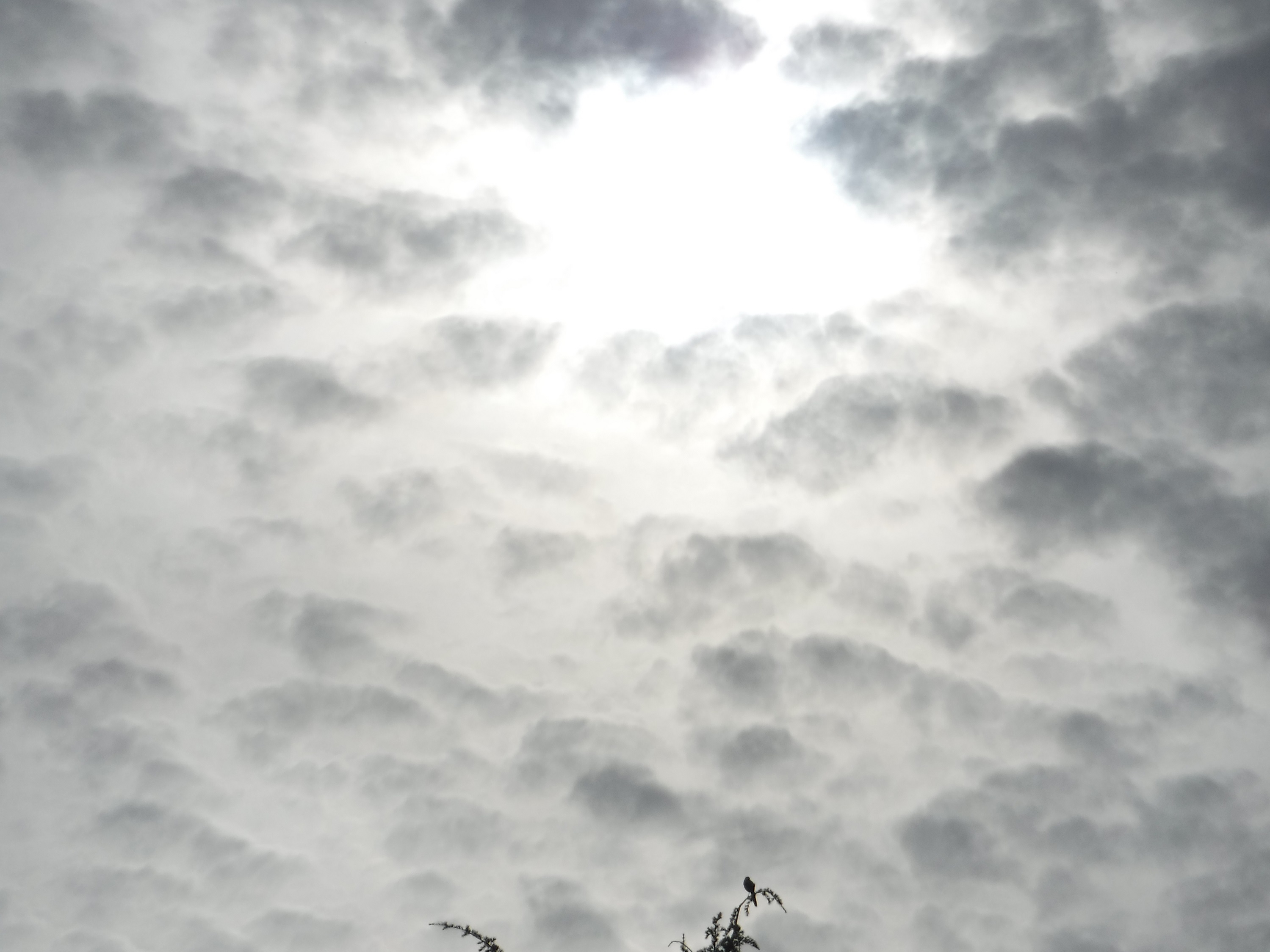 Photo taken by me Photo taken by me