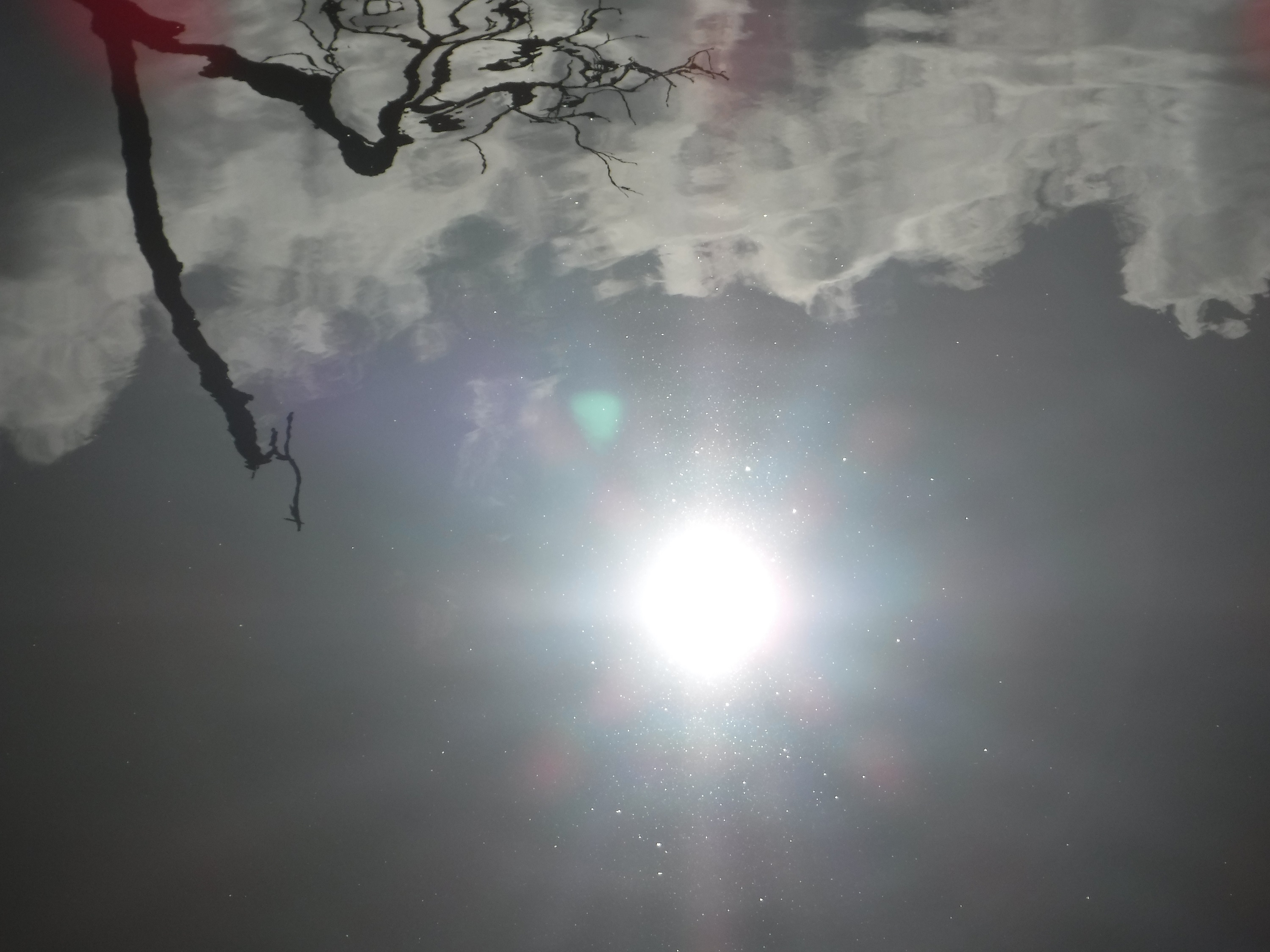 Photo taken by me of reflection in a puddle Photo taken by me of reflection in a puddle