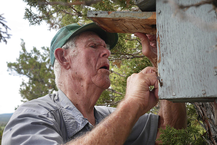 Alfred Larson's new hobby is building bluebird nests.