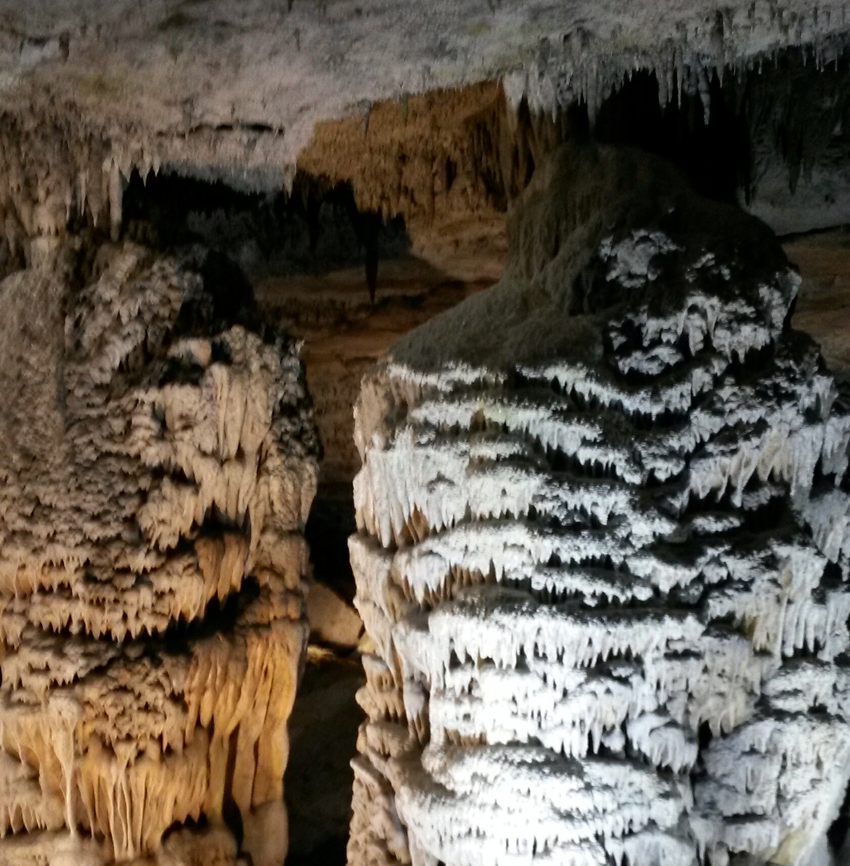 This is Fantastic Caverns