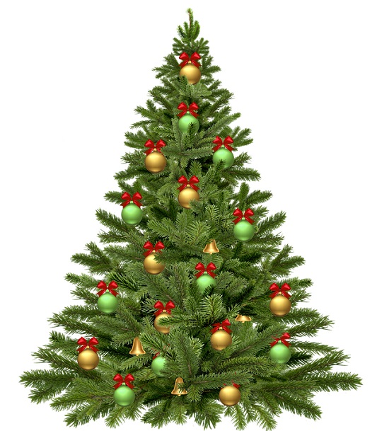 christmas tree christmas tree