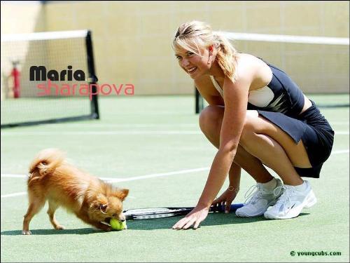 how is this doggie? - how is it