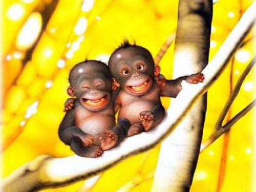BABY ANIMAL - BABY ANIMAL
