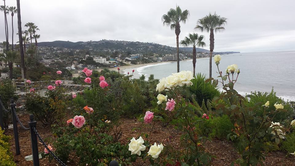 Photo of Laguna Beach taken by author