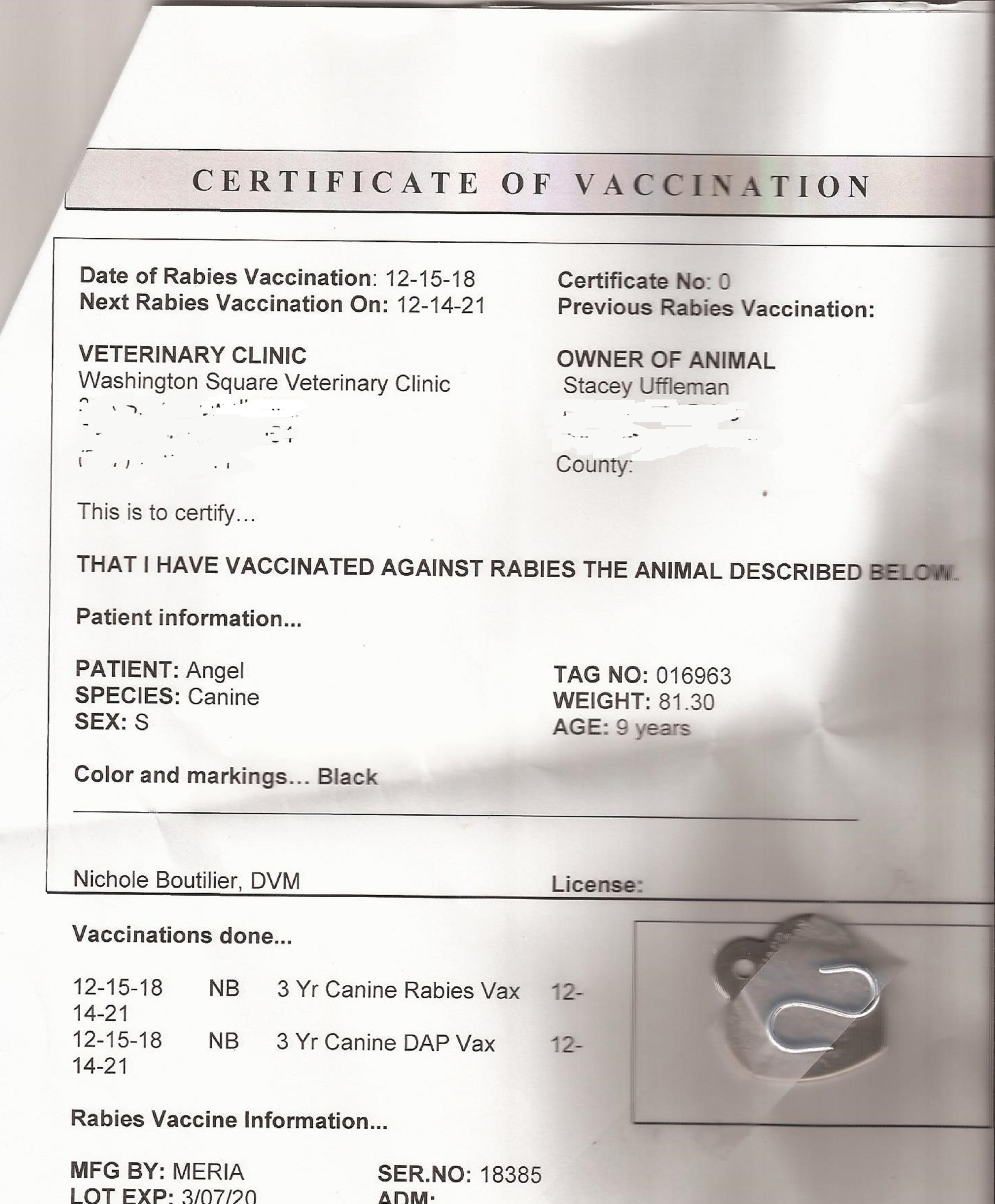 scan of Angel's vet appointment info