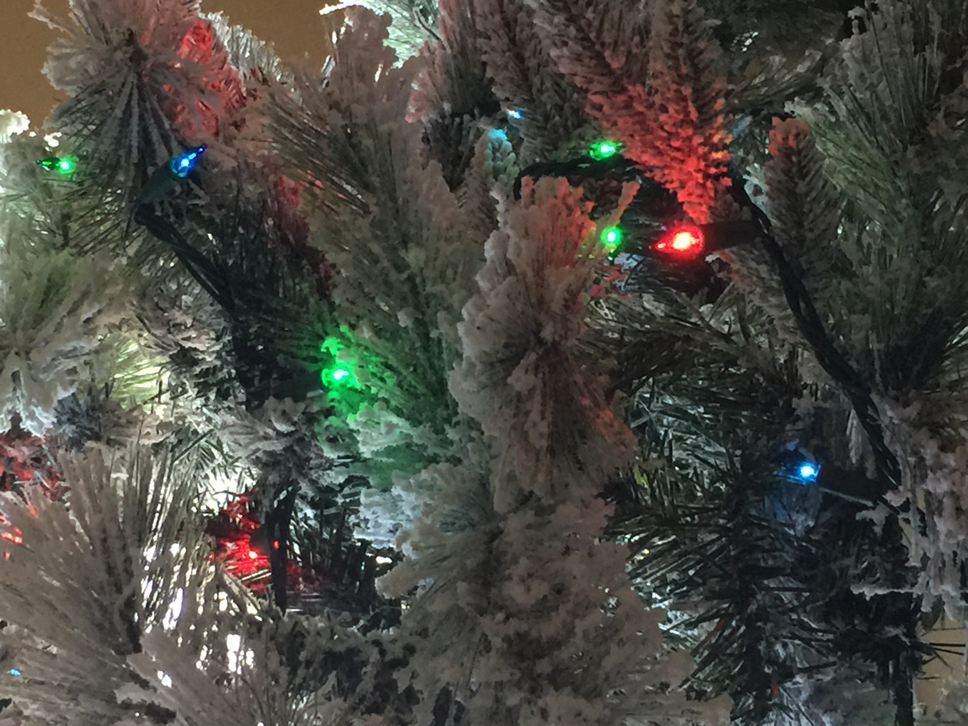 How Safe is it to Leave the Tree Lights on Overnight? / myLot