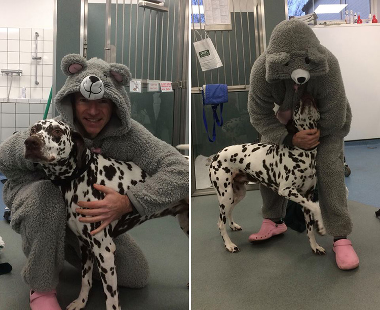 Vet Mike Farrell wearing a mouse suit to get along with Rupert the dog Vet Mike Farrell wearing a mouse suit to get along with Rupert the dog