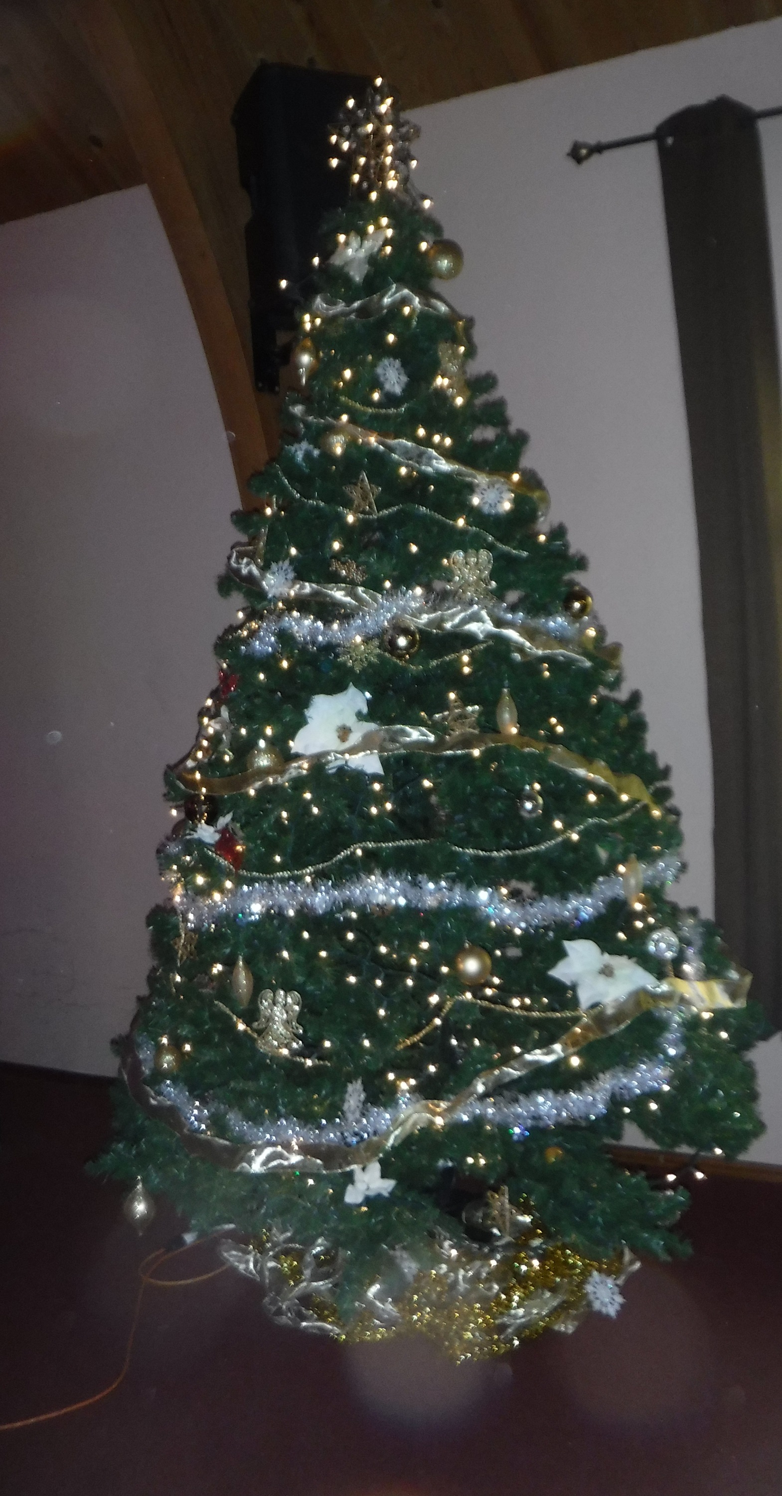 Photo I took of a tree in the church sanctuary Photo I took of a tree in the church sanctuary