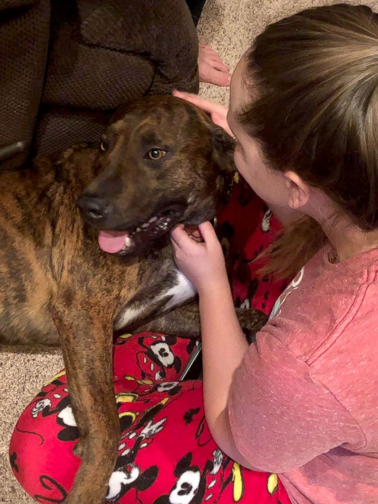 Rambo the dog meets his new owner Hallee Fuqua Rambo the dog meets his new owner Hallee Fuqua