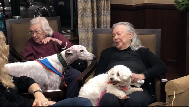 Seniors at a home in New York City spend time with a service dog Seniors at a home in New York City spend time with a service dog