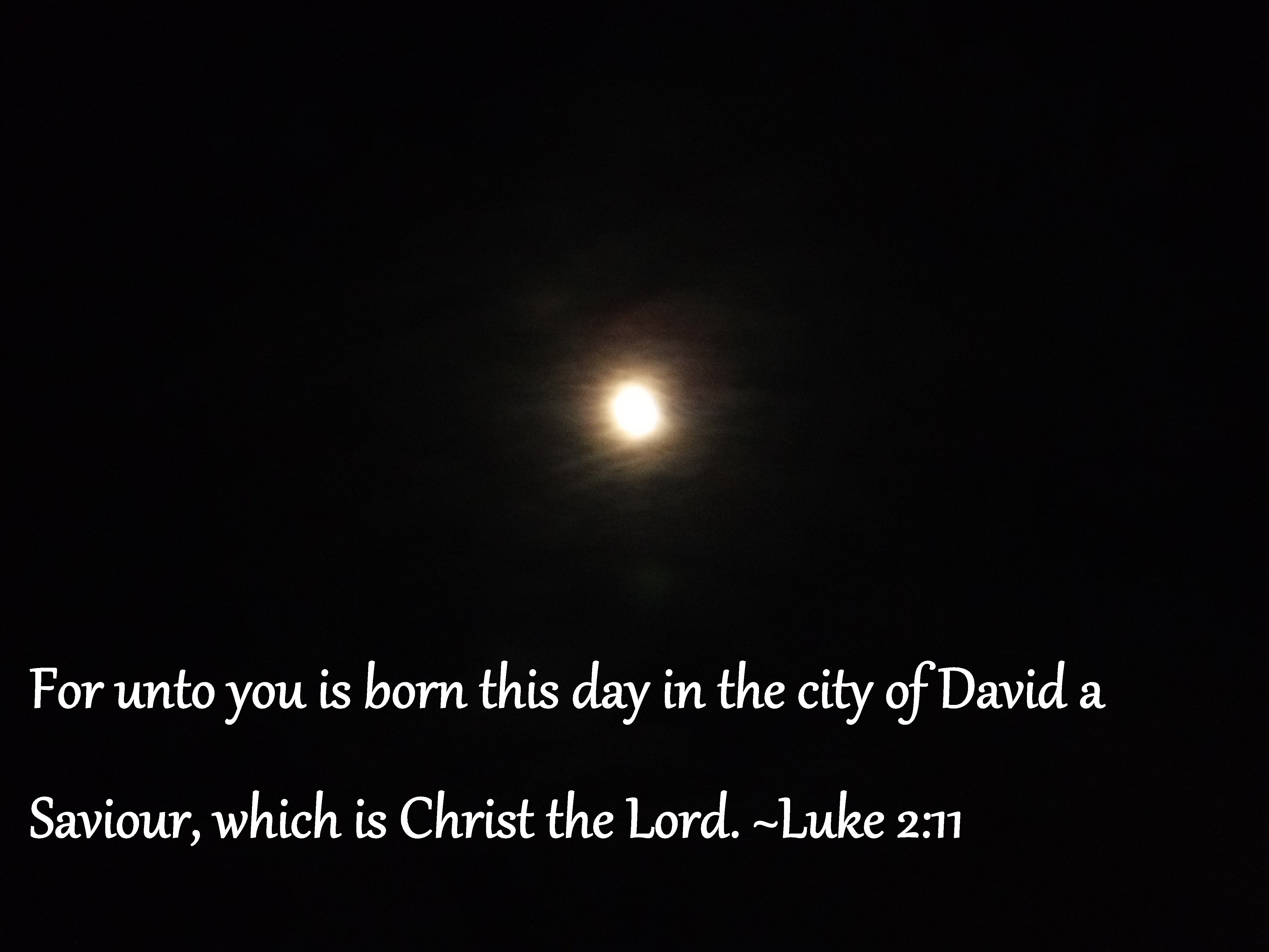 Photo taken by me with words added on Microsoft Paint