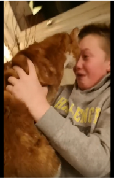 Young boy reunites with his cat after 7 months of separation Young boy reunites with his cat after 7 months of separation