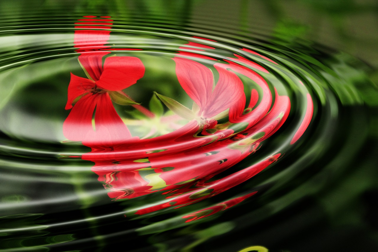 Image Credited to Pixabay Image Credited to Pixabay