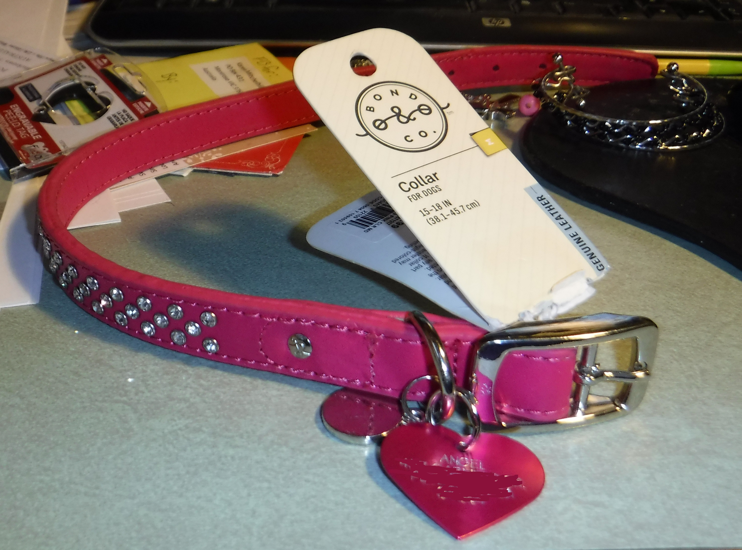 Photo taken by me of Angel's collar Photo taken by me of Angel's collar